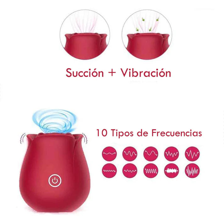 Rosa Con Succión y Vibración